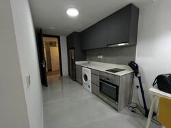 Riverfront Residences (D19), Apartment #473044981